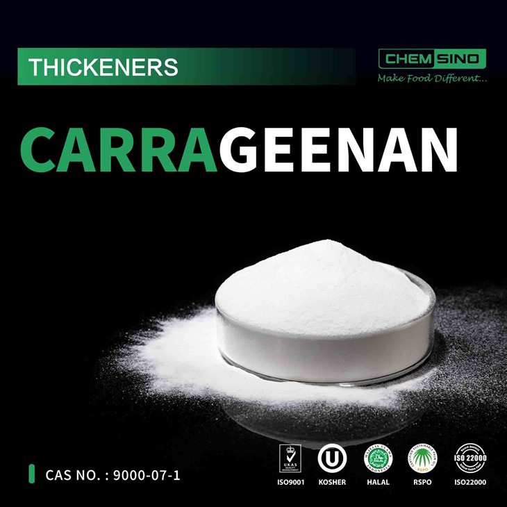 Superando la tradición, creando un futuro delicioso: ¡la carragenina impulsa la revolución alimentaria! N.º CAS9000-07-1