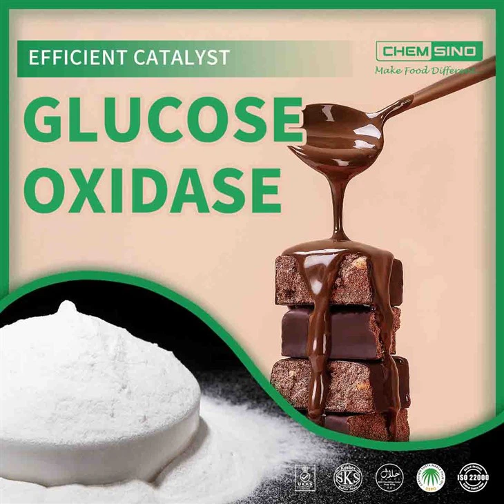 Diversas aplicaciones de la glucosa oxidasa (Dios)