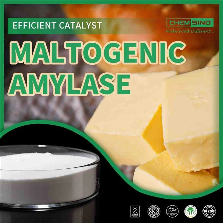 Maltogenic Amylase in Food Processing