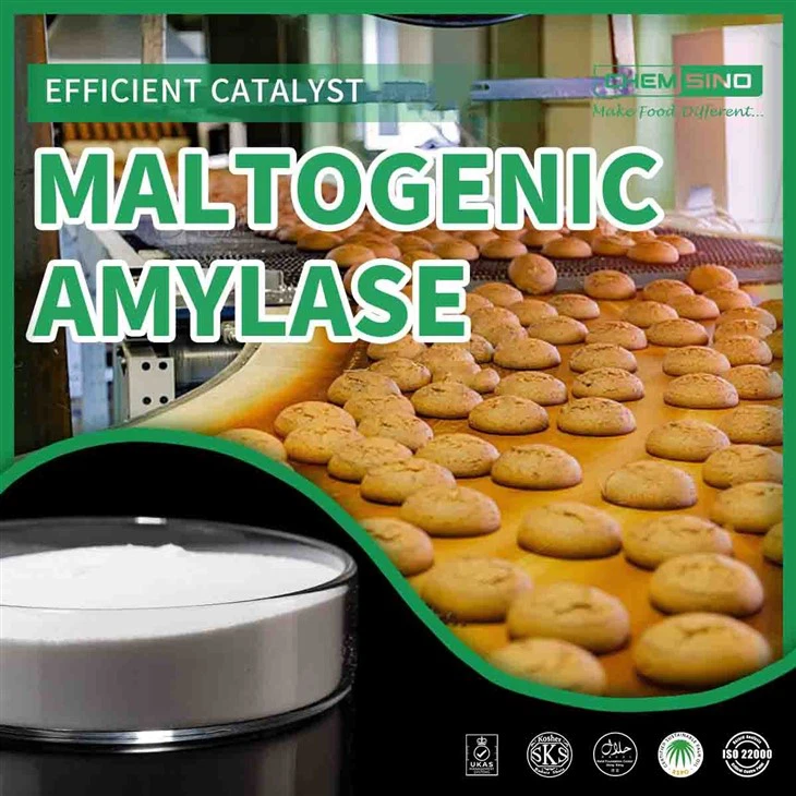 Maltogenic Amylase baking enzyme