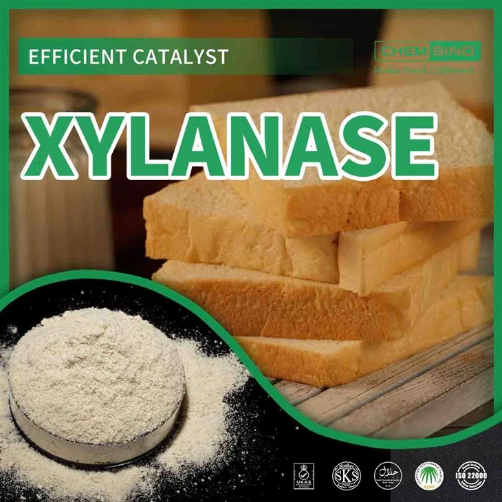 CAS 9025-57-4: Potenciando sus procesos: ¡adopte el poder de la enzima xilanasa!