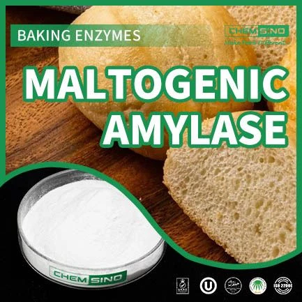 Del grano a la gloria: cómo la amilasa maltogénica transforma sus recetas.CAS NO. 9000-92-4