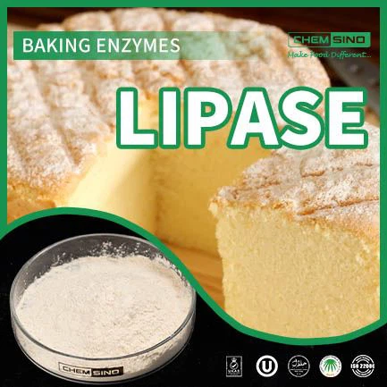 Enzima lipasa: ¡el mejor amigo de su salud digestiva! CAS NO.:9001-62-1
