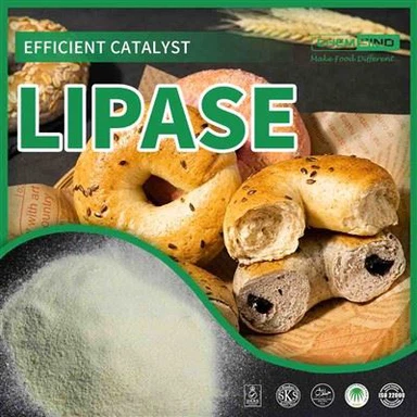 Suave para el estómago, potente para la digestión: enzima lipasa N.º CAS:9001-62-1