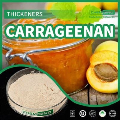 Espesante Goma Carragenina En Leche E407 CAS:9000-07-1